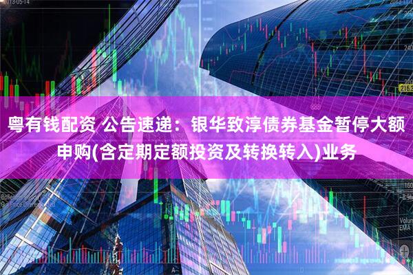 粤有钱配资 公告速递：银华致淳债券基金暂停大额申购(含定期定额投资及转换转入)业务