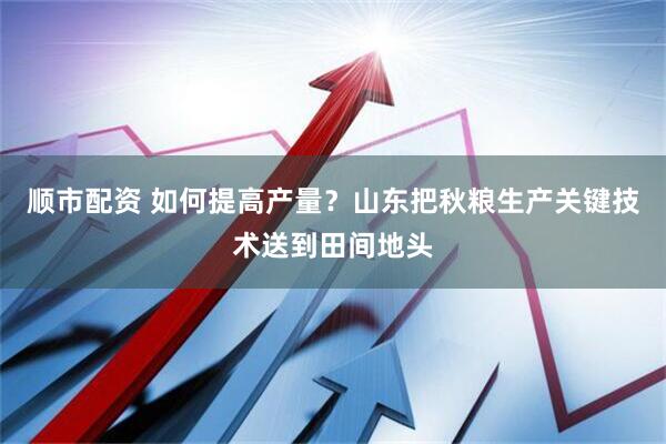 顺市配资 如何提高产量？山东把秋粮生产关键技术送到田间地头