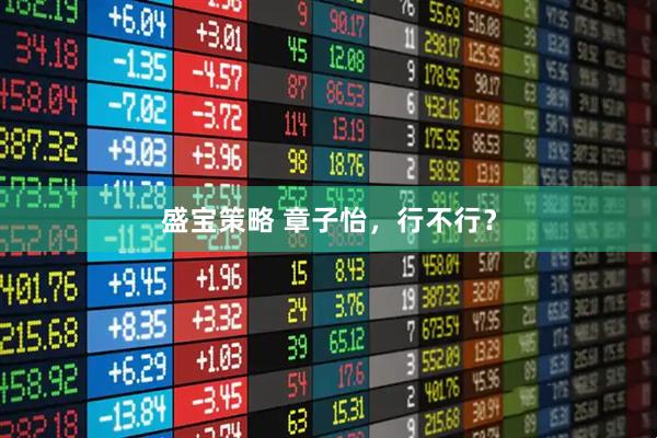 盛宝策略 章子怡，行不行？